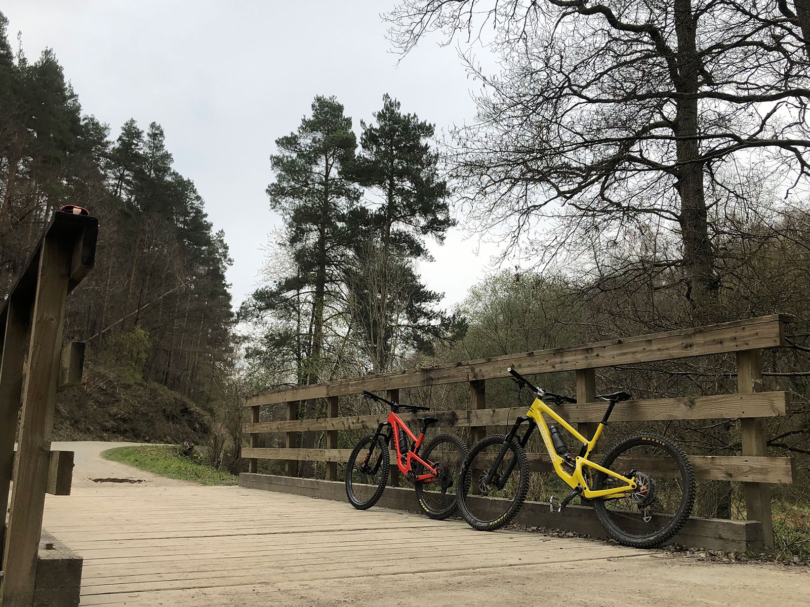 Wyre Forest trails